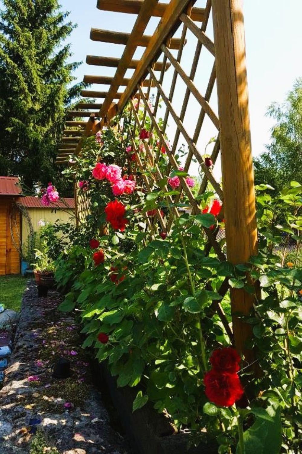 Olszyna Pod Brzoza Villa Ngoại thất bức ảnh