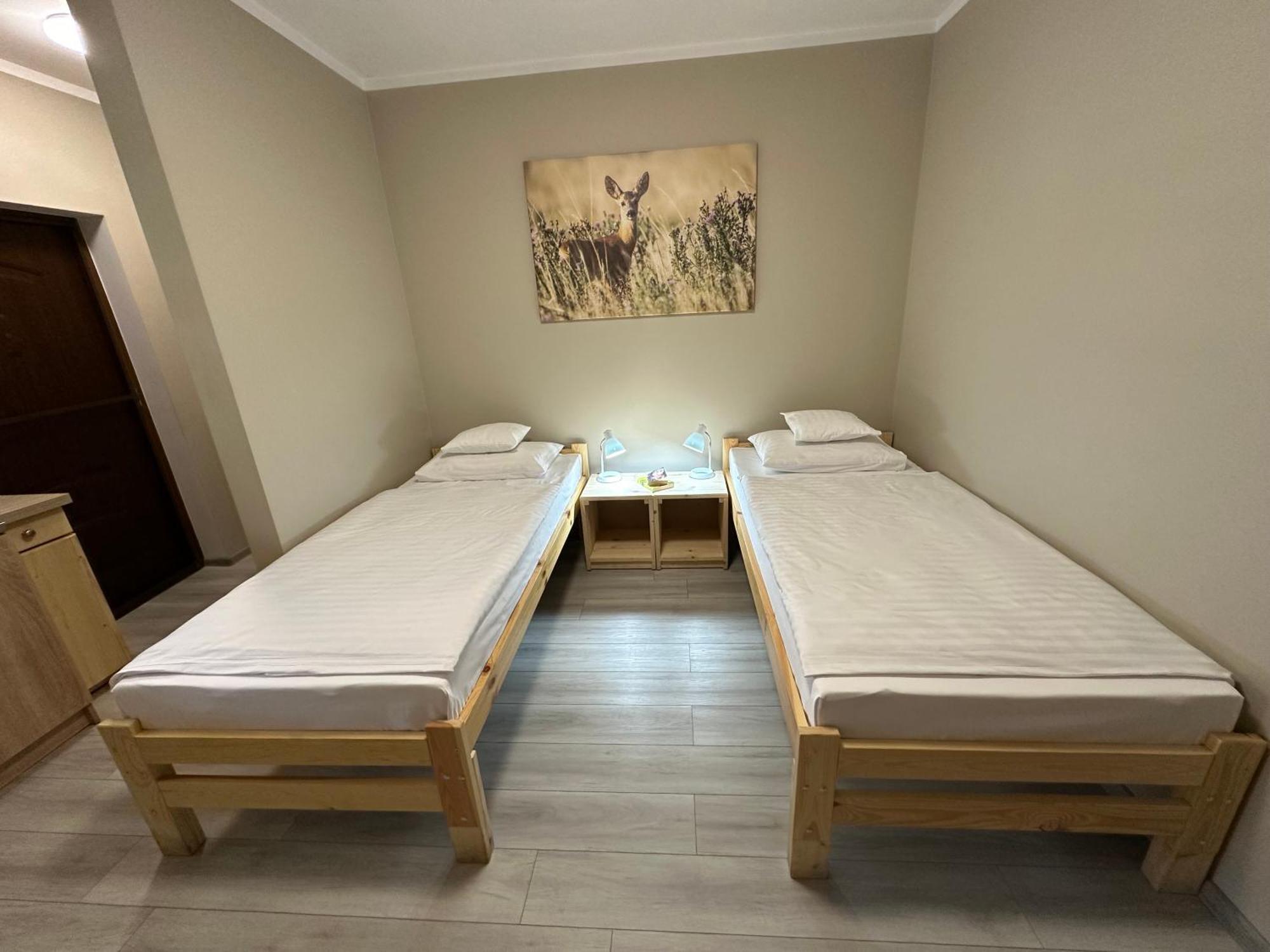 Olszyna Pod Brzoza Villa Ngoại thất bức ảnh
